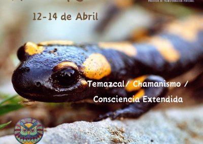 Acecho y Ensueño