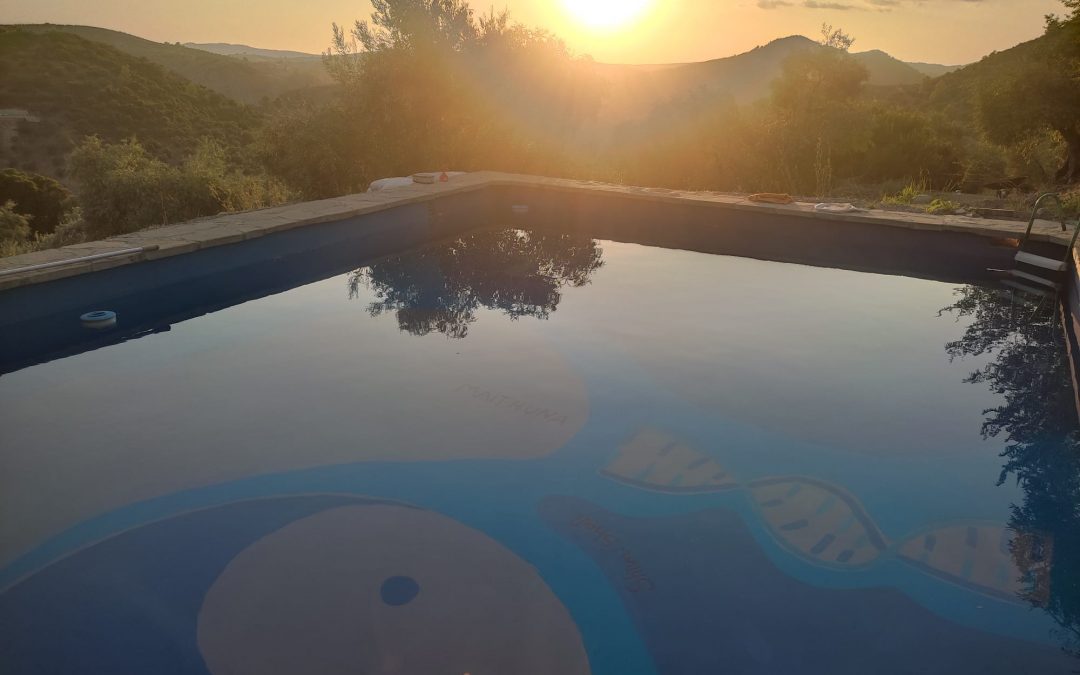 Verano en Buhosfera 2025. Julio y Agosto.