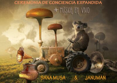 ReSetearte. Ceremonia de Conciencia Expandida + Música en Vivo con Januman
