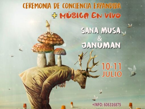 Resetearte con Música en Vivo con Januman